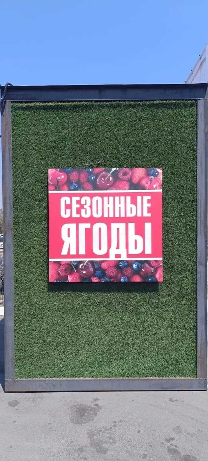 Оформление павильона на Агромолле