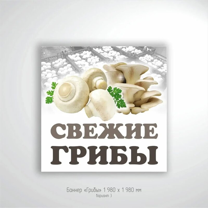 Рекламные баннеры для магазина и рынка