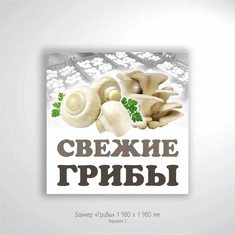 Рекламные баннеры для магазина и рынка