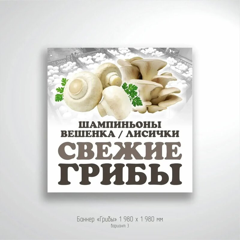 Рекламные баннеры для магазина и рынка