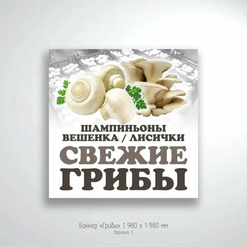 Рекламные баннеры для магазина и рынка