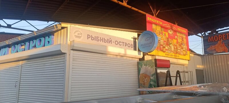 🎨 Полный брендинг рыбного магазина: от макета до подключения подсветки