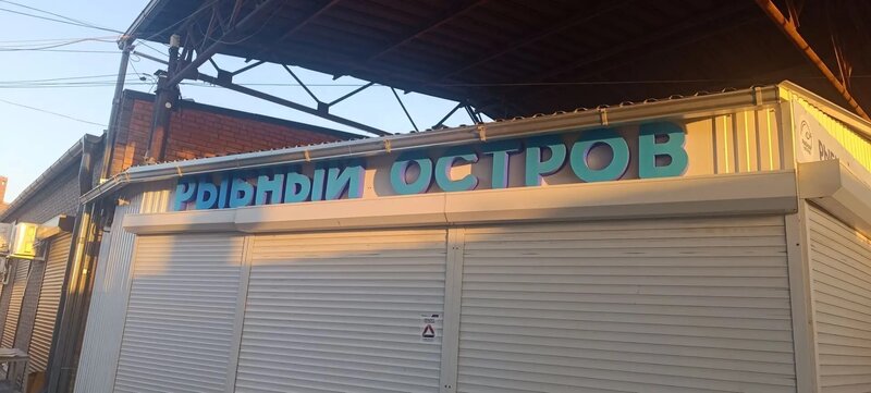 🎨 Полный брендинг рыбного магазина: от макета до подключения подсветки
