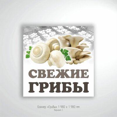 Рекламные баннеры для магазина и рынка